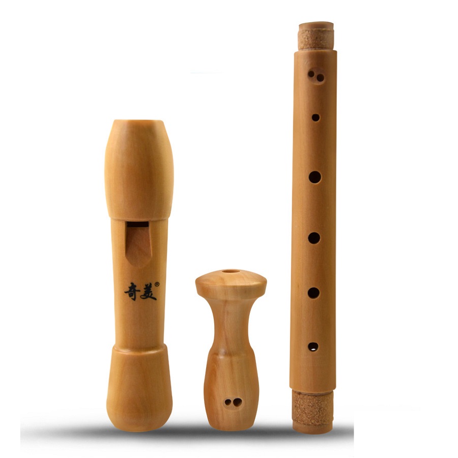 Qimei 8 ثقوب ألتو مسجل الآلات  - مراجعة Musical Instrument German وسعره