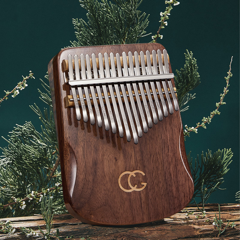 17 21 مفتاح الإبهام البيانو Ka - مراجعة Musical Instrument For Beginners وسعره